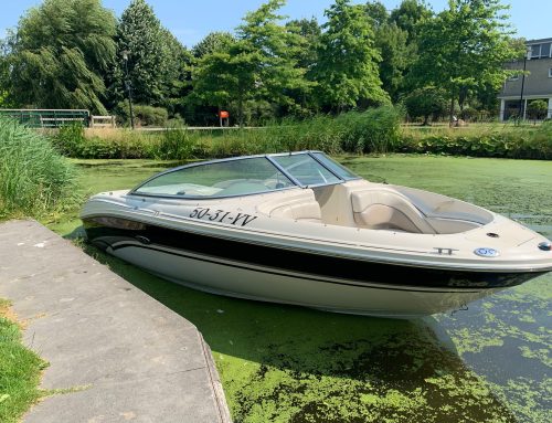 Sea Ray 200 Select, 6-cilinder VW Marine